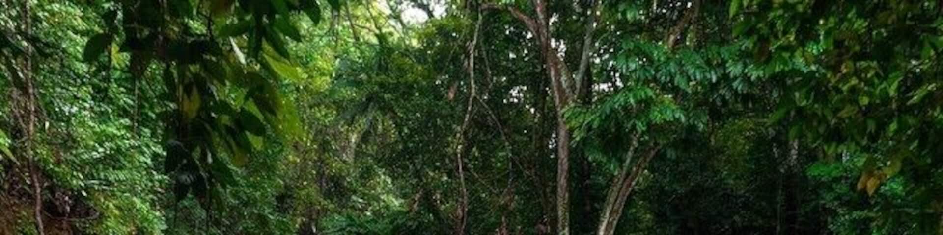 The photo says it all. We had the best time enjoying this lovely Mag-Aso falls in Bohol. All alone with no other tourists, just how we like it the mostđâșïžđ #bohol #magaso-falls #waterfall #offthebeatenpath #loveit #travel #tlpics #travelingtheworld #nature #amazing #beautiful #wanderlust #wonderful_places #lonelyplanet #ourtravelife #outdoor #happylife #TroveOn