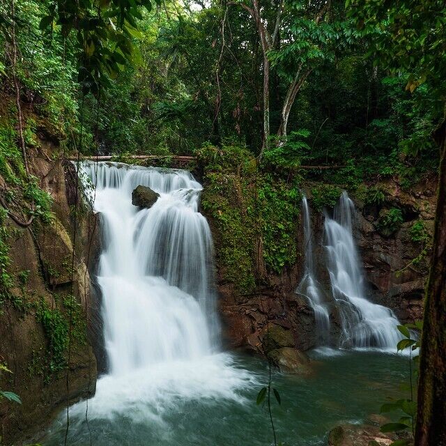 A waterfall cascading over rocks in a lush forest.