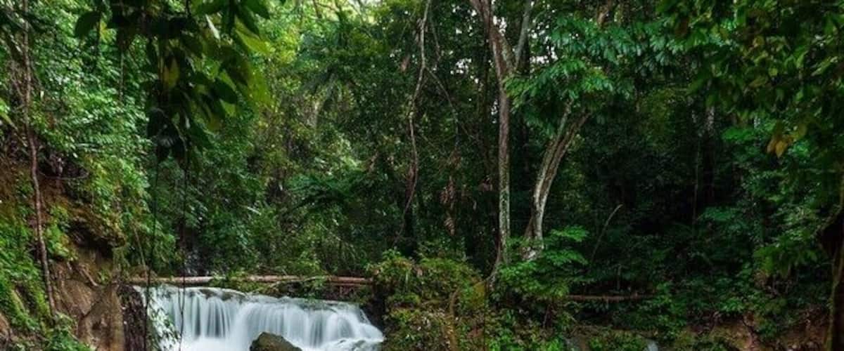A waterfall cascading over rocks in a lush forest.