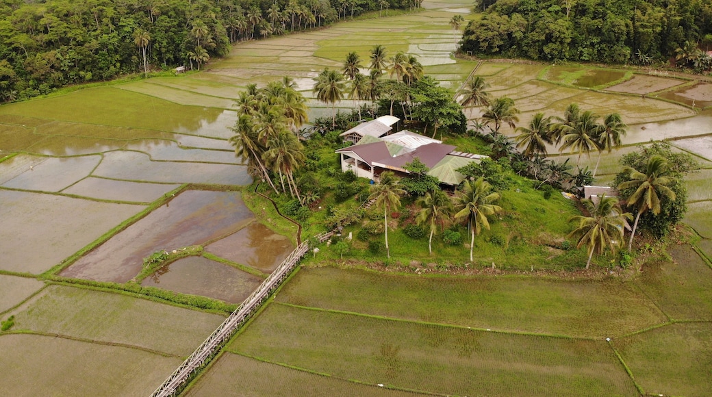 Drone shot of the restaurant and its surroundings