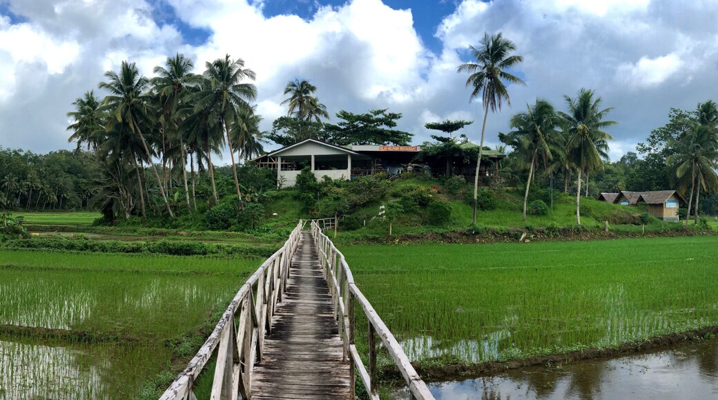 Restaurant within the padi field