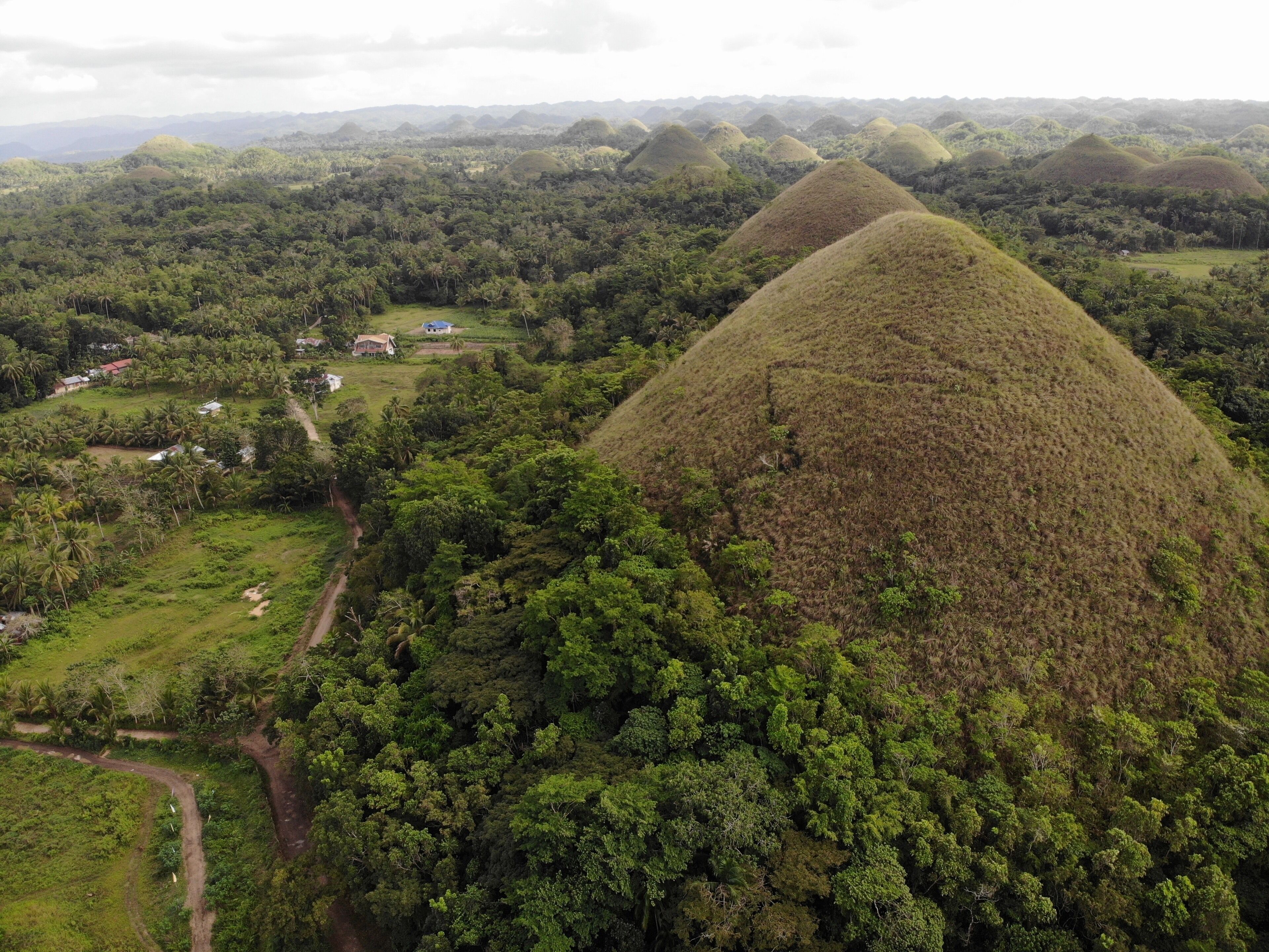 Chocolate Hills