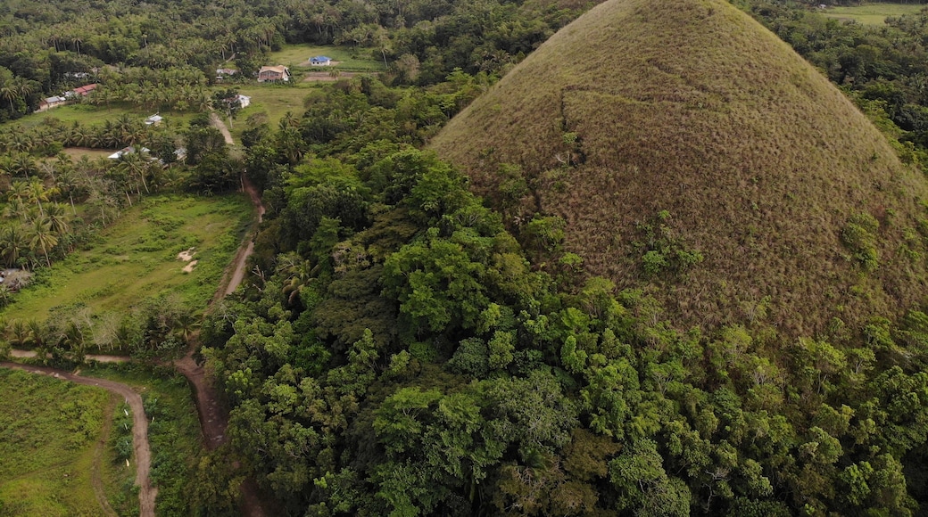 Chocolate Hills