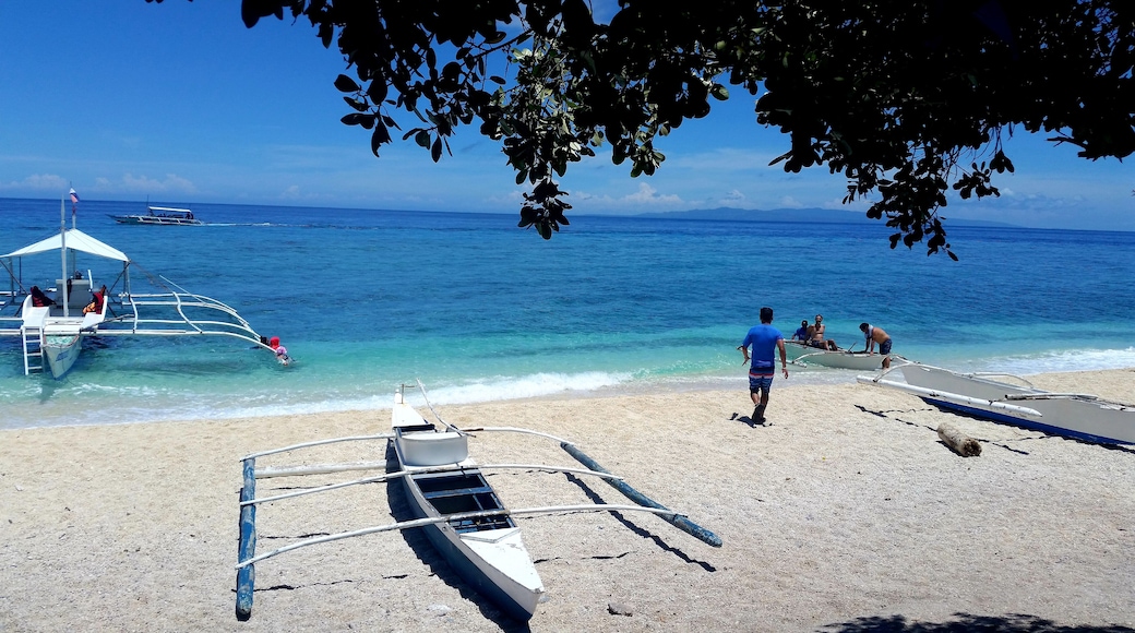 Snorkeling off Alona Beach
The pure blue waters off Panglao island teem with fish at the aquatic preserve.