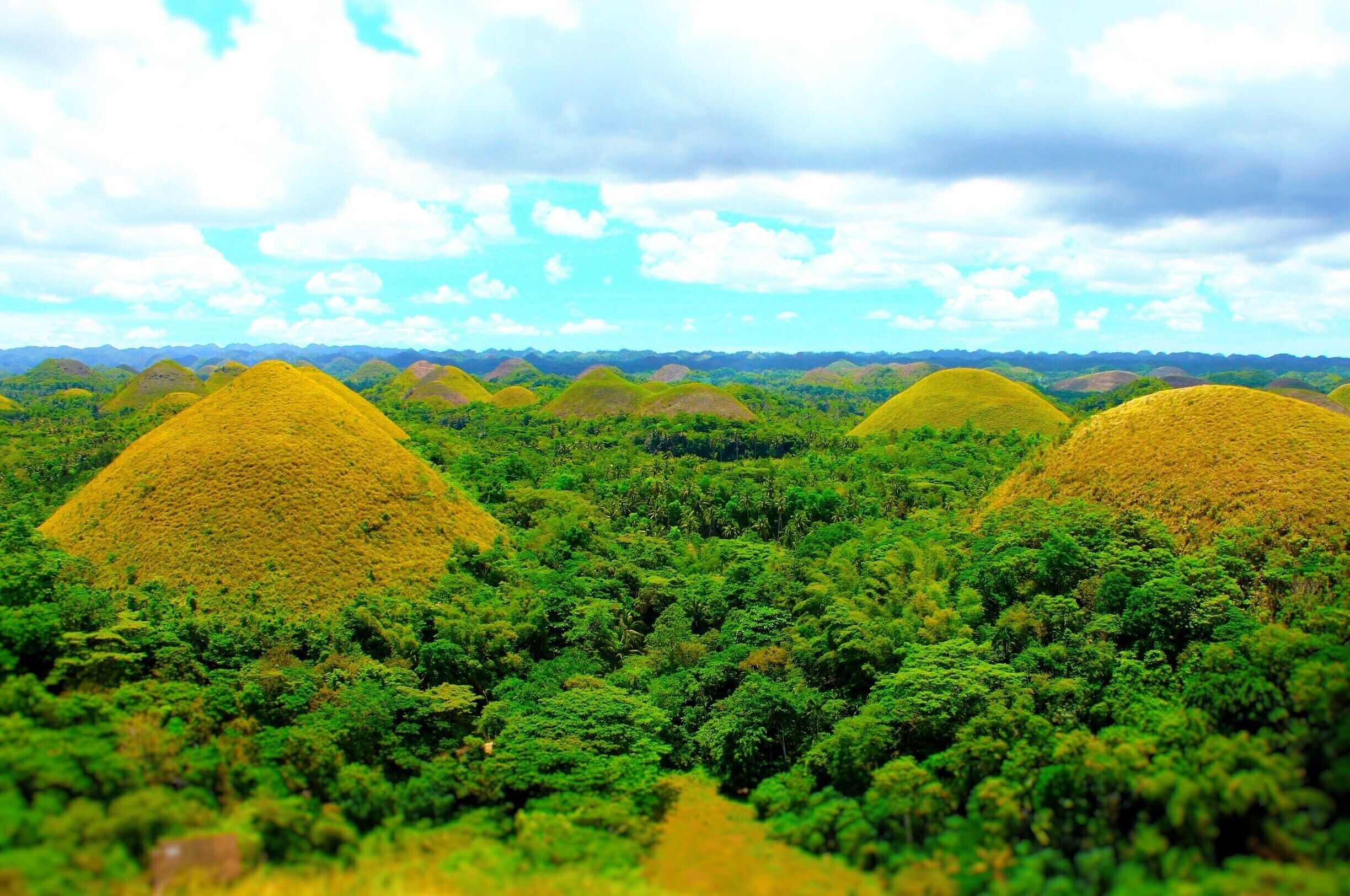 There's a lot to do on the island of Bohol- Alona Beach, Panglao Island, the tarsiers, Loboc River. These ladies and gents, are the Chocolate Hills. 

We hired a driver for the day and did all of these things and more. Don't quote me but I think we got a personal tour guide for $30 USD. Totally worth it.