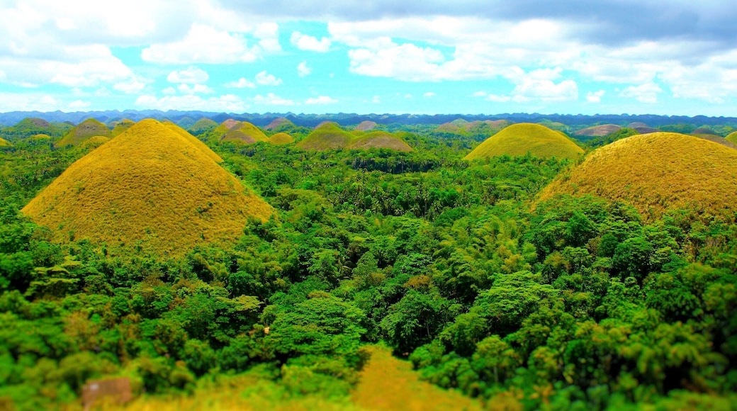 There's a lot to do on the island of Bohol- Alona Beach, Panglao Island, the tarsiers, Loboc River. These ladies and gents, are the Chocolate Hills.
We hired a driver for the day and did all of these things and more. Don't quote me but I think we got a personal tour guide for $30 USD. Totally worth it.