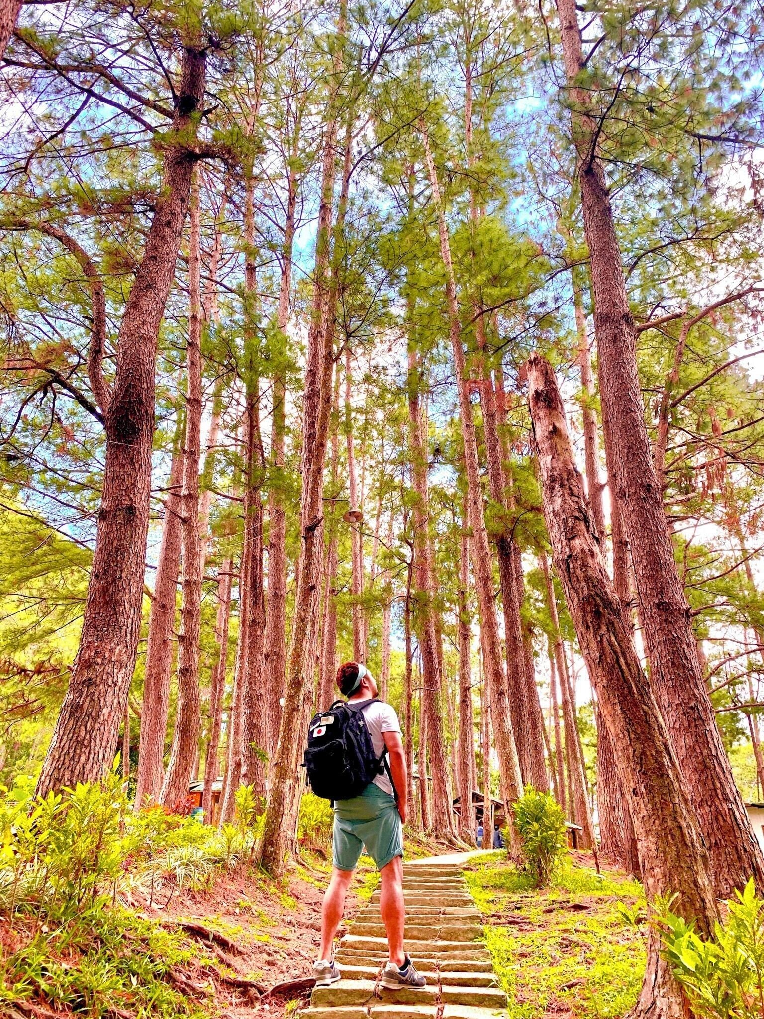 Top Things to Do in Bohol: Ultimate 15-Day Family-Friendly Travel Guide