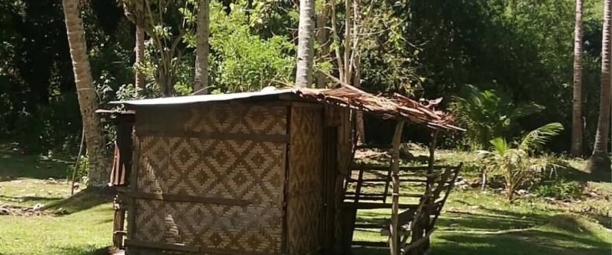 A wooden structure with a patterned roof in a lush, green environment with tall palm trees.