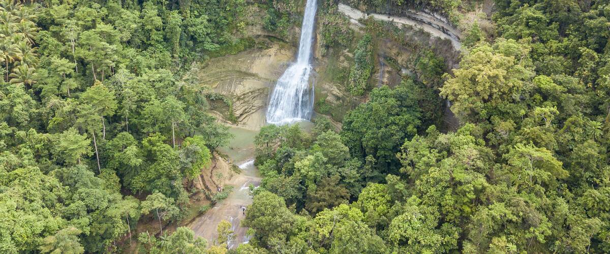 A waterfall surrounded by dense forest and terraced fields.