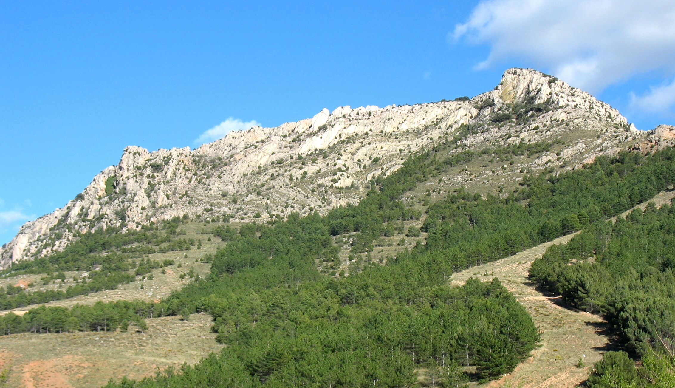 Anticlinal tumbado del frente del "Cabalgamiento de Utrillas" (Cretácico superior sobre Cenozoico) N-420, entre Utrillas y Montalbán (Teruel, España)