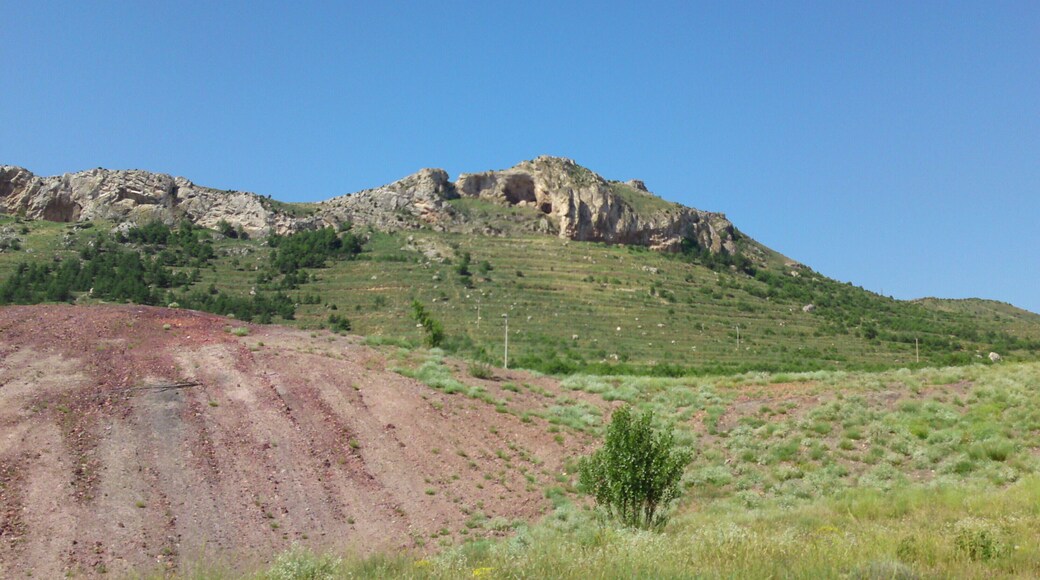 la cueva de la hiedra