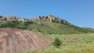 la cueva de la hiedra