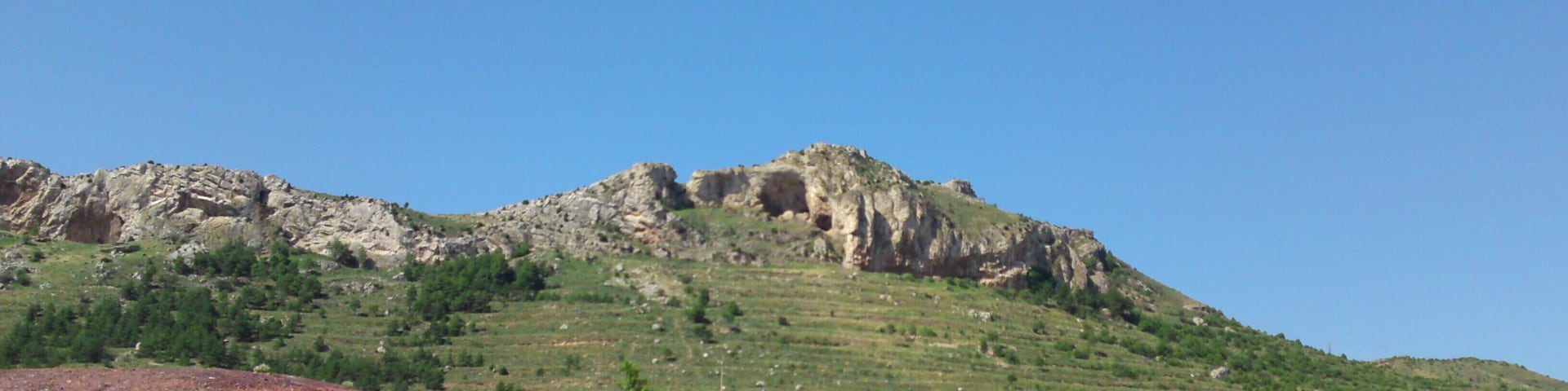 la cueva de la hiedra