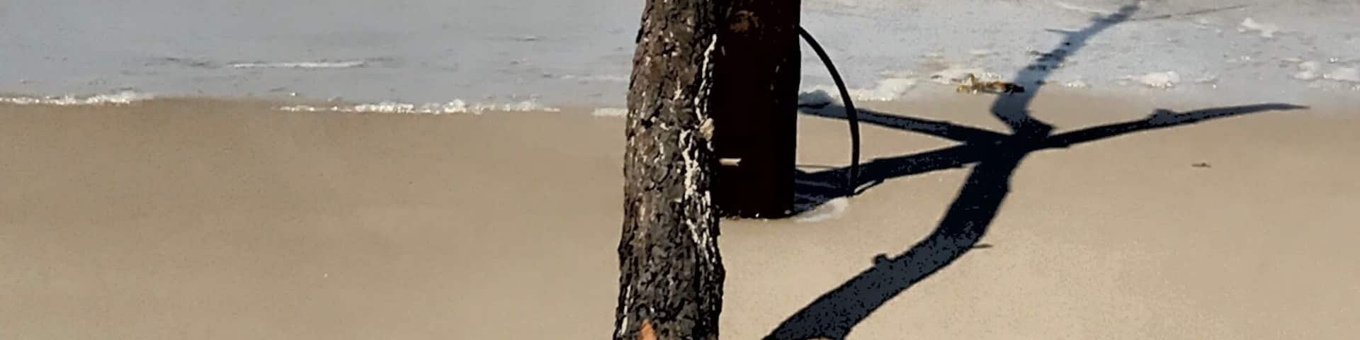 Ein riesiger Strand hinter der großen Düne. Man hat das Gefühl fast allein am Strand zu sein trotz der Menschenmassen die es zur Düne zieht.