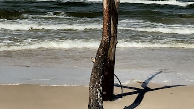 Ein riesiger Strand hinter der groĂen DĂŒne. Man hat das GefĂŒhl fast allein am Strand zu sein trotz der Menschenmassen die es zur DĂŒne zieht.