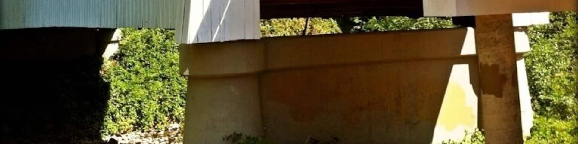 This is the only remaining covered bridge in Josephine County, and being right off I-5 makes it an easy stop for a little Oregon history. There's a museum nearby as well. You'll see some covered wagons out front on the way to the bridge.