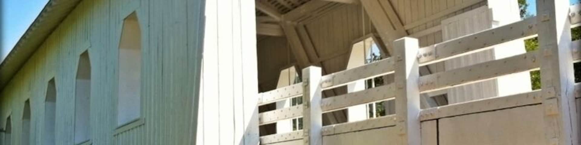 This is the only remaining covered bridge in Josephine County, and being right off I-5 makes it an easy stop for a little Oregon history. There's a museum nearby as well. You'll see some covered wagons out front on the way to the bridge.