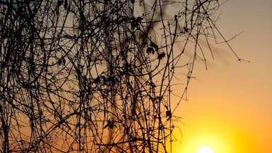 Sunset over Guma lagoon Botswana