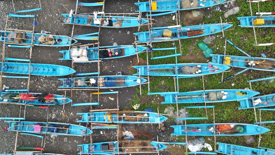 Un grupo de barcos azules amarrados en una orilla cubierta de grava y vegetación.