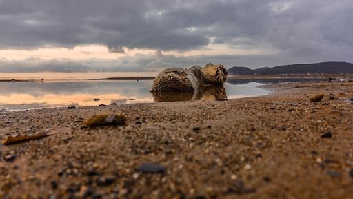 What else? Iron Beach...