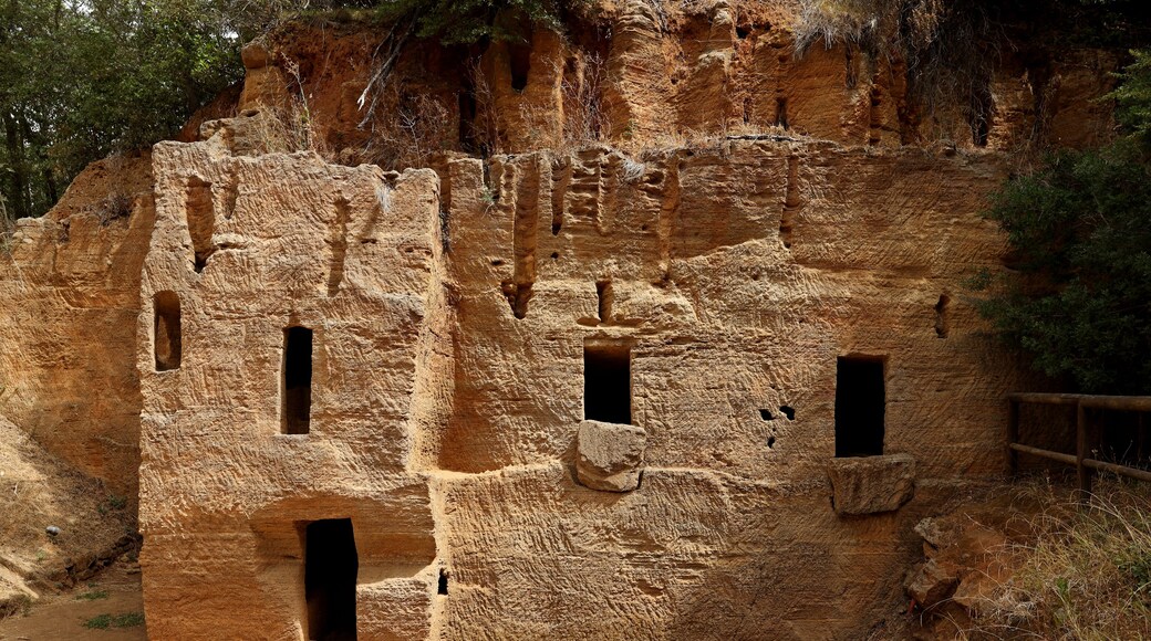 Chamber tombs carved into the rock in the Etruscan Necropolis of Populonia. Archaeological Park of Baratti and Populonia. Tuscany - Italy