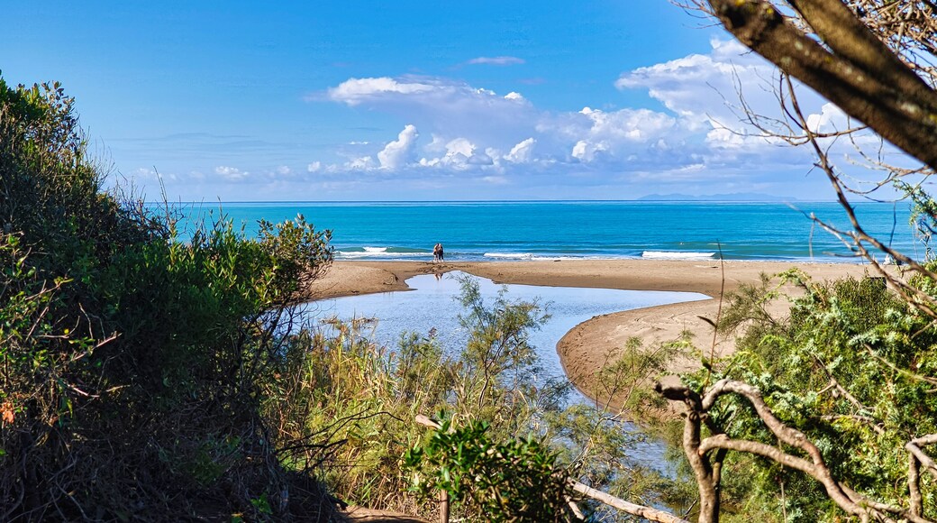 Panoramic view of Carbonifera Beach in Riotorto, Tuscany, Italy