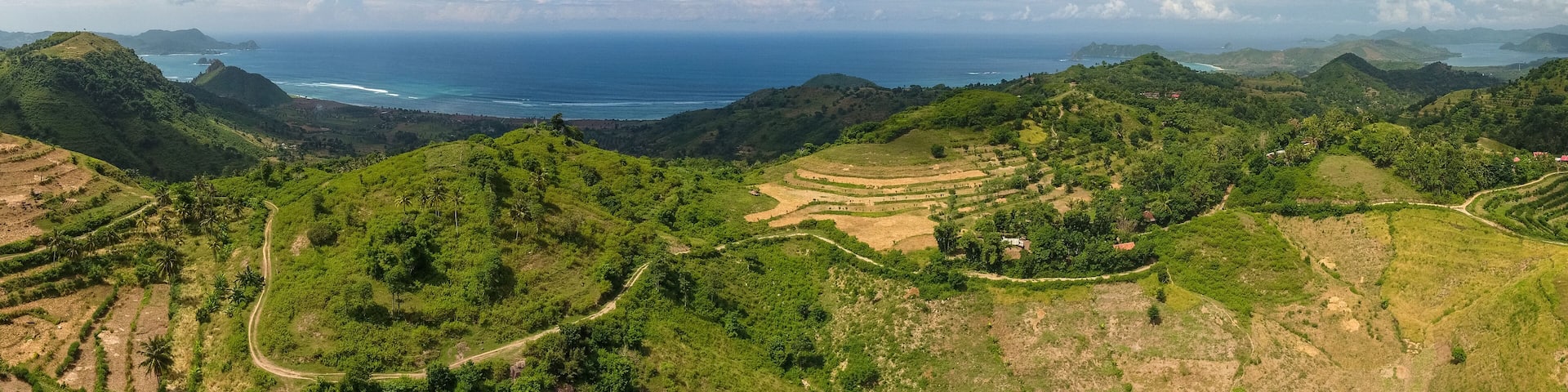 A lush green landscape with terraced fields and a view of the ocean.