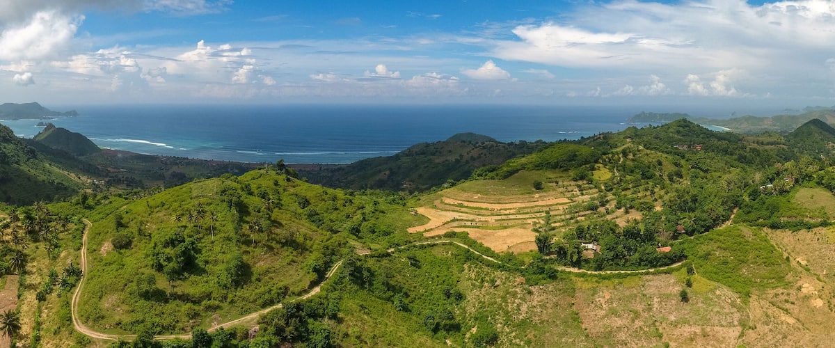 A lush green landscape with terraced fields and a view of the ocean.