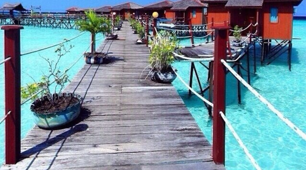 Maratua Paradise Resort located off the east coast of Indonesia Borneo is another Divers' marine haven. ☀️🌸