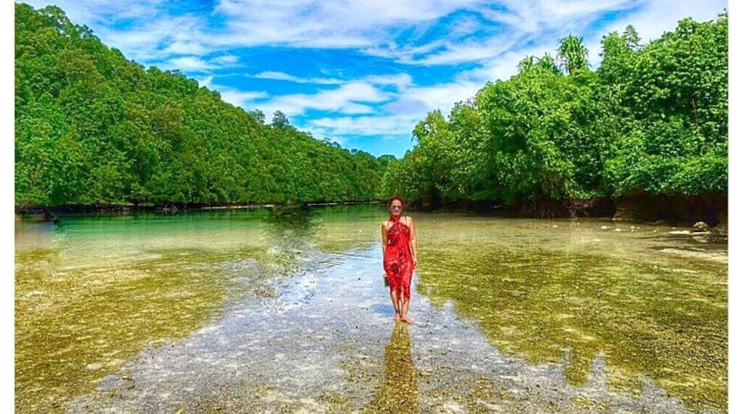 A hidden Lagoon in a small Island called Kakaban, East Kalimantan Indonesia
