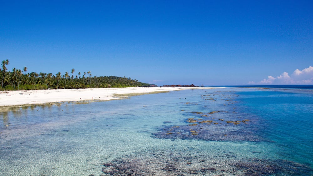 beautiful beach with white sand and low tide in maratua island