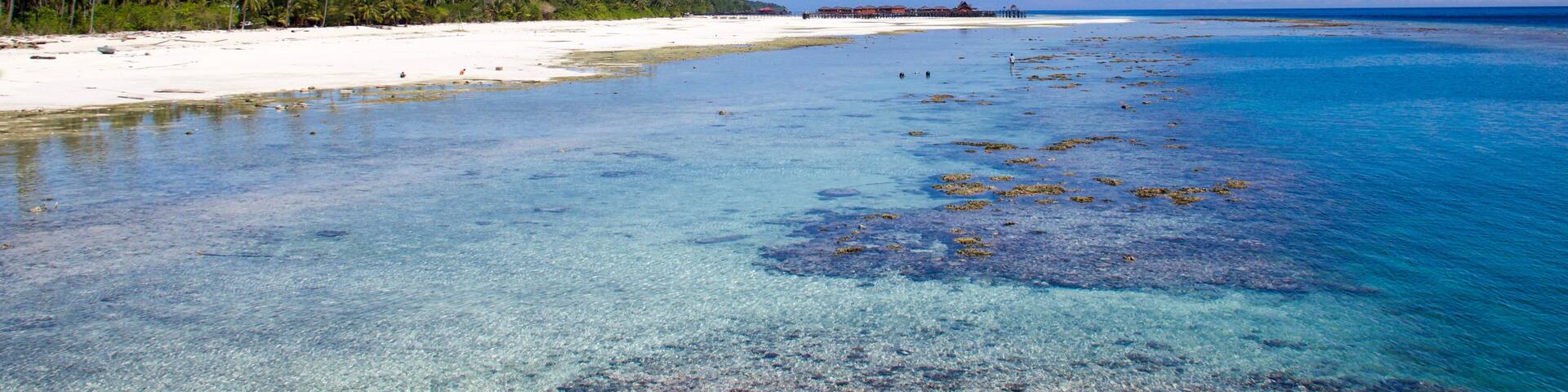 beautiful beach with white sand and low tide in maratua island