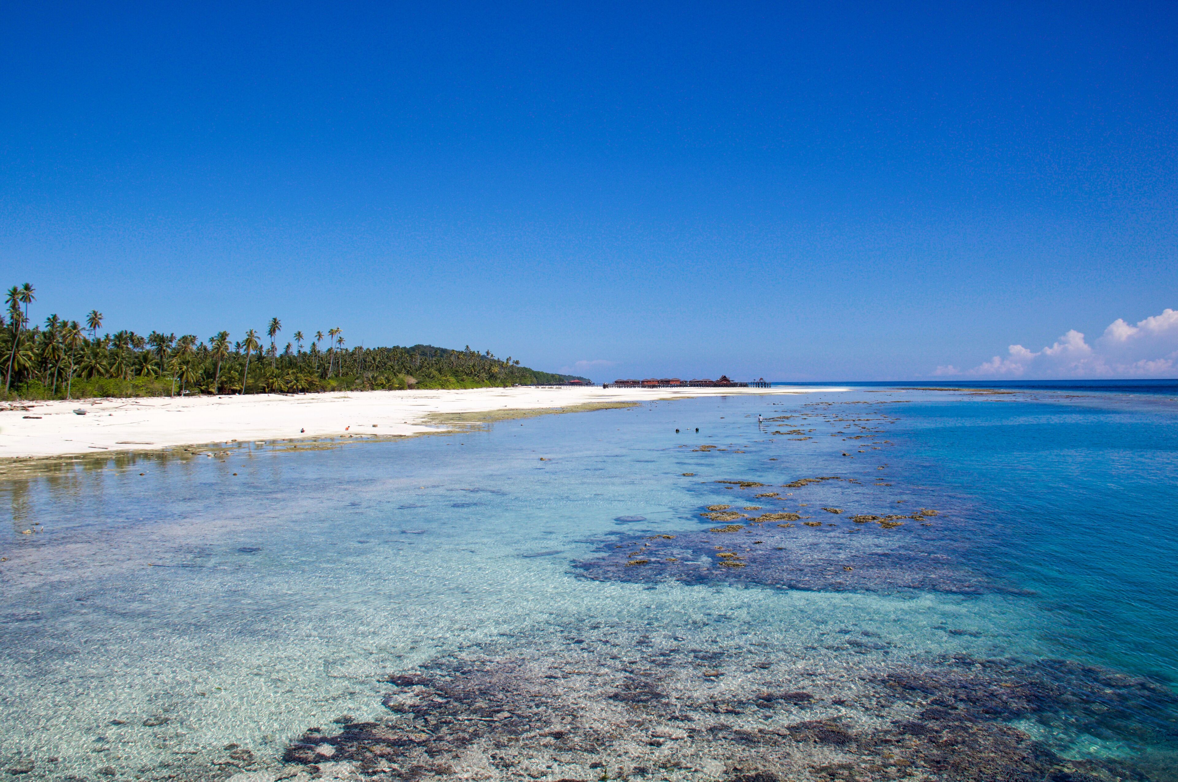 A tropical beach with clear turquoise waters, white sand, and a forested island in the distance.