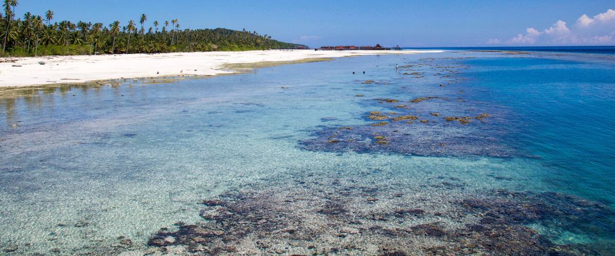 A tropical beach with clear turquoise waters, white sand, and a forested island in the distance.