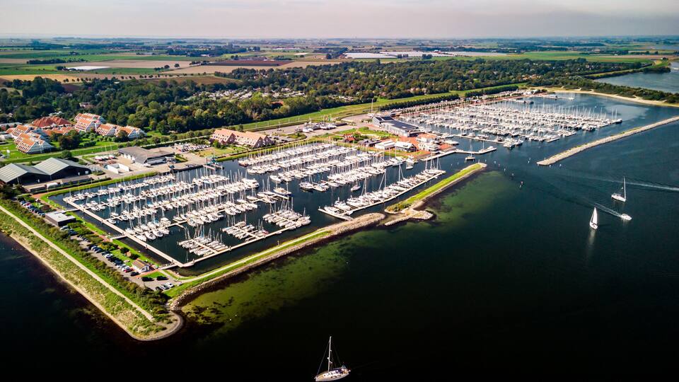 A marina with numerous boats docked, surrounded by greenery and buildings.