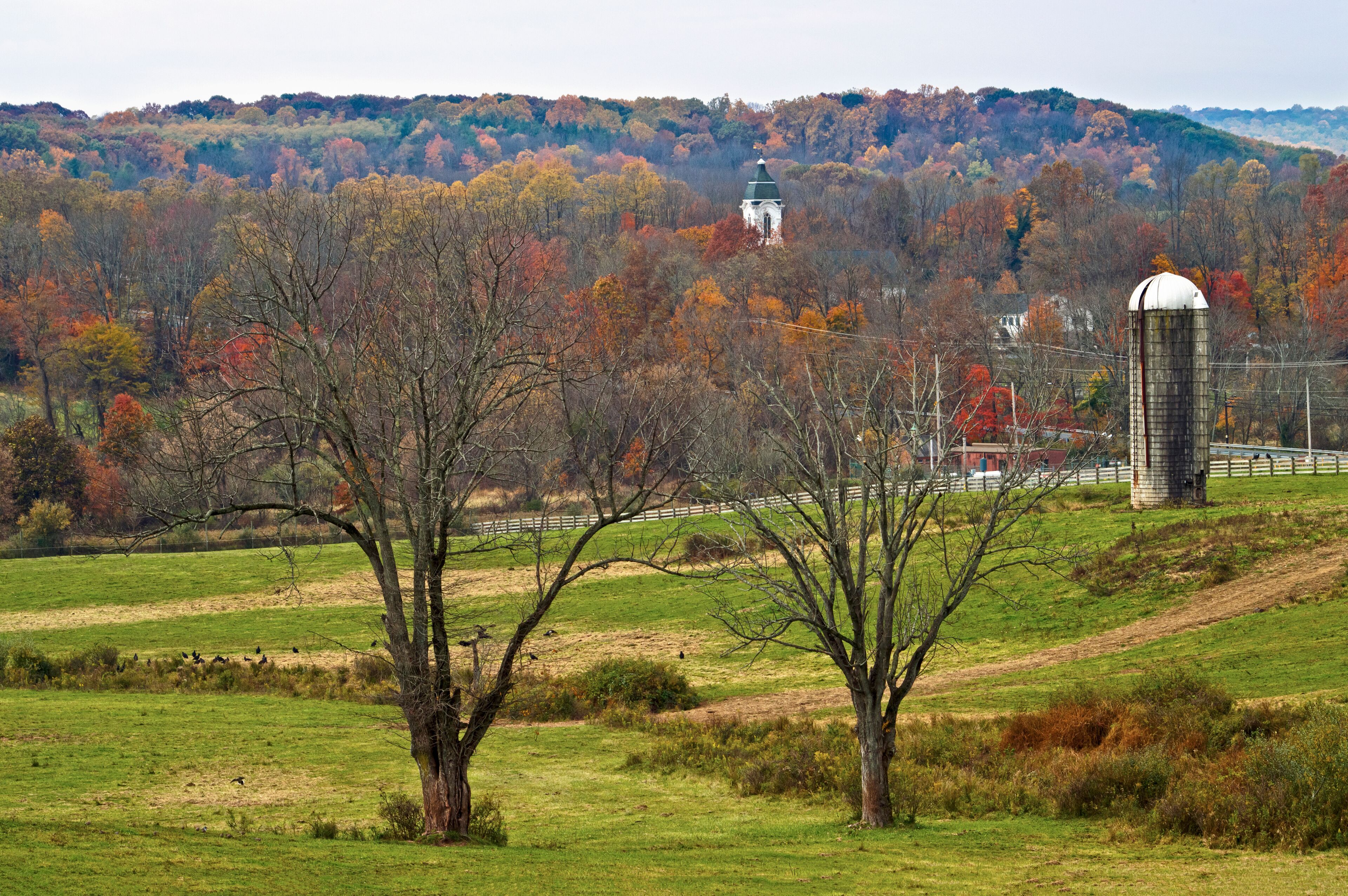 A rural landscape with a silo, a church, and autumn-colored trees.