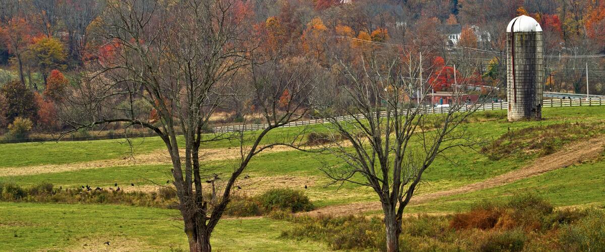 A rural landscape with a silo, a church, and autumn-colored trees.