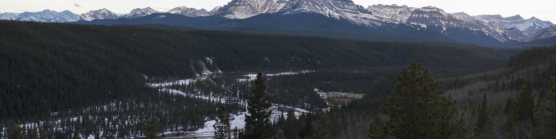 A mountainous landscape with snow-covered peaks and a dense forest in the foreground.