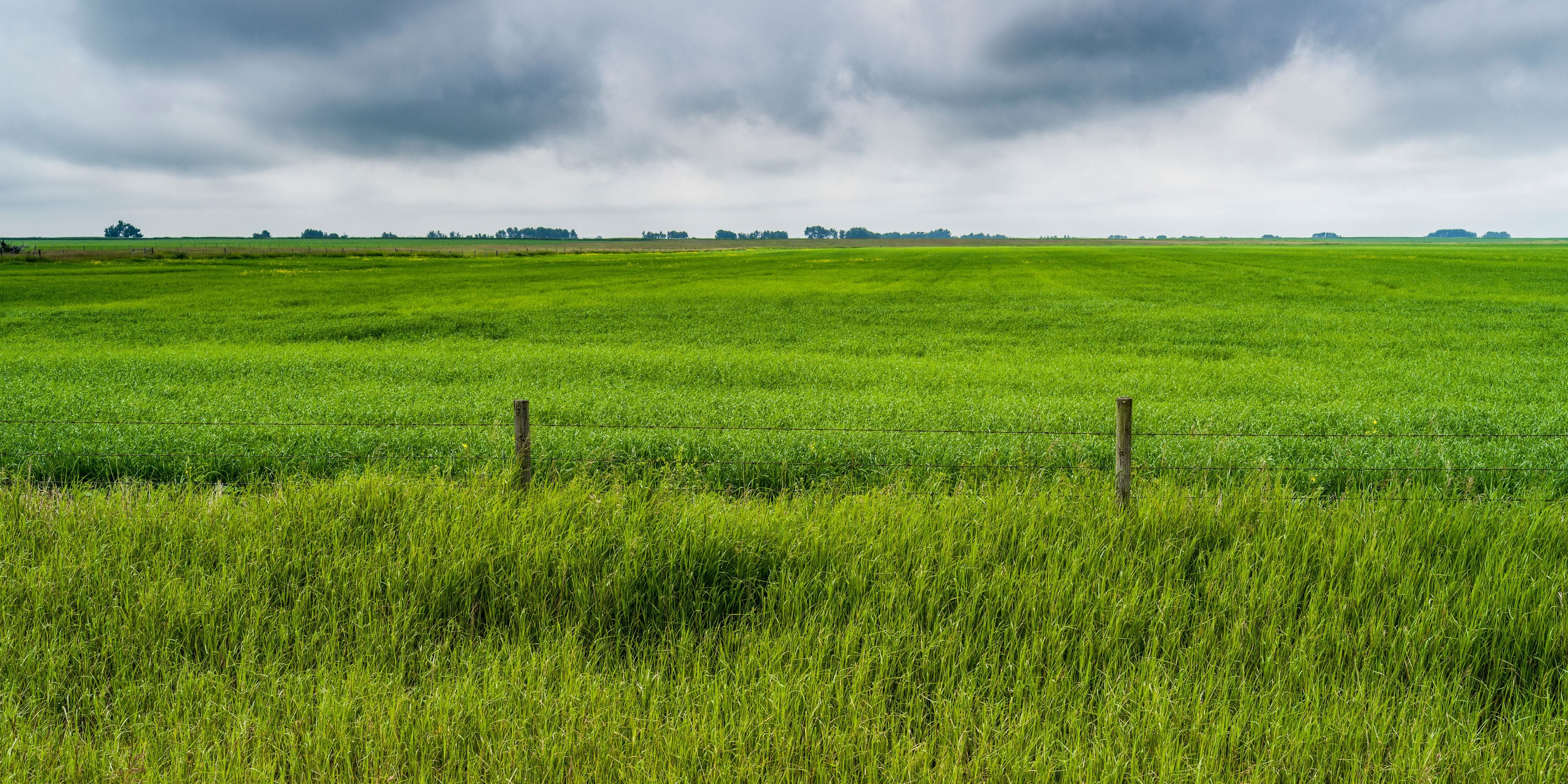 Un extenso campo verde con una valla de madera en primer plano y un cielo nublado al fondo.