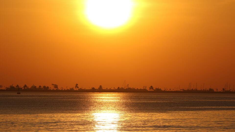 A sunset over a calm body of water with silhouettes of trees and distant structures.