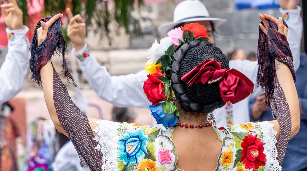 Traditional dances of the state of Veracruz Mexico, typical clothes.