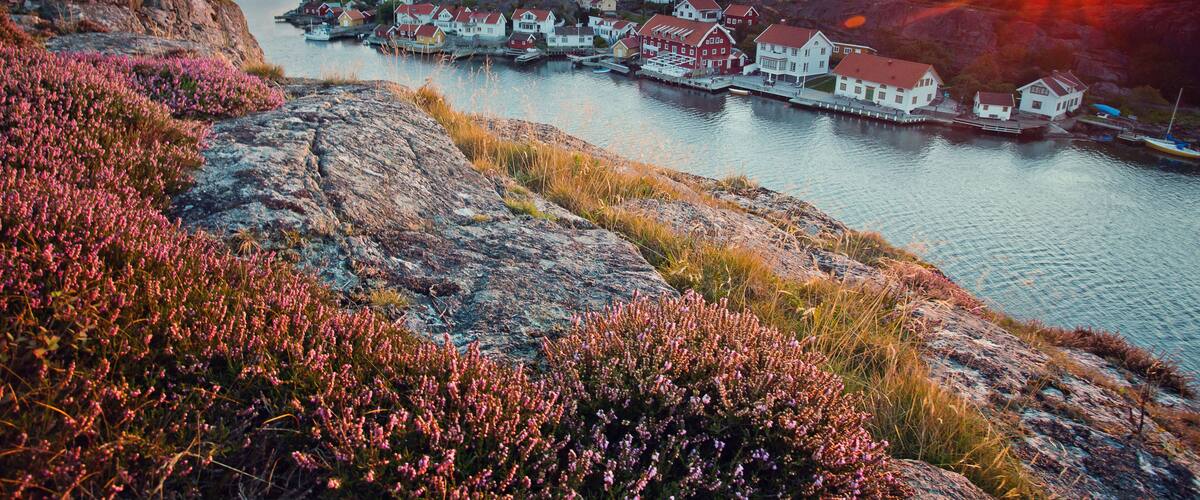 A coastal village with houses by the water, a rocky foreground, and a sunset in the background.