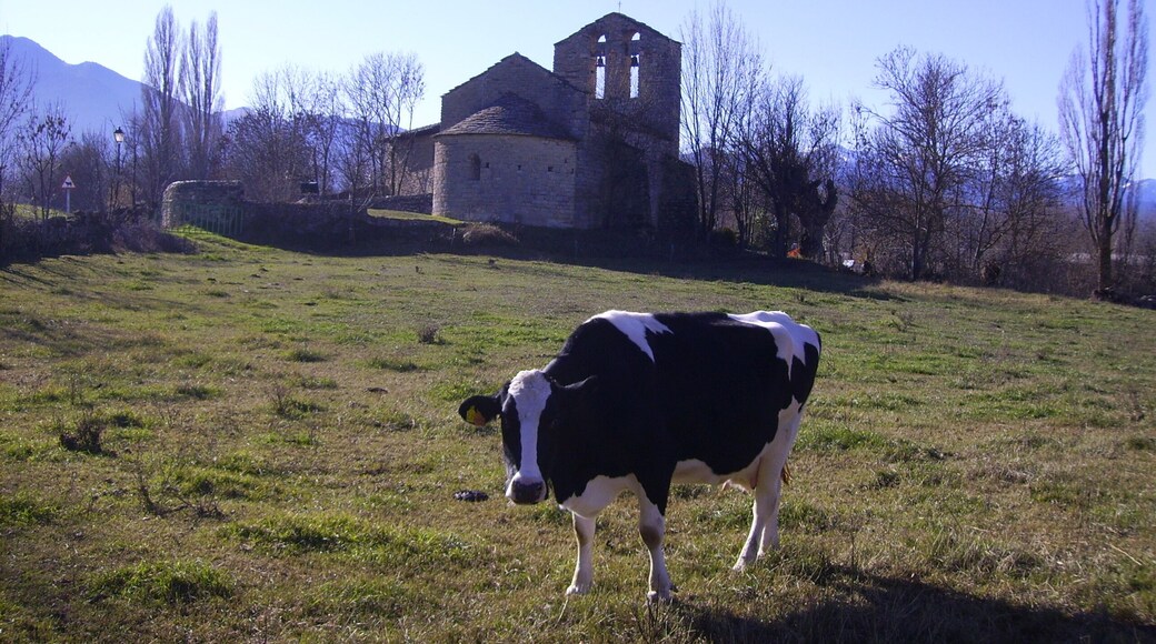 Església de Santa Maria de Mosoll (Das)