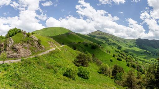 บากูเรียนิ