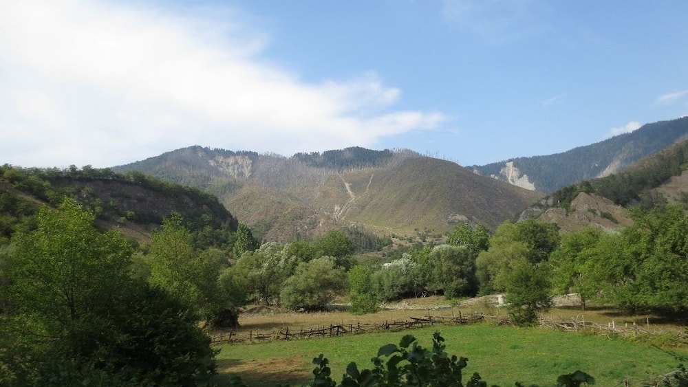 View of the countryside between Bakuriani and Borjomi, Georgia.
If you look closely, you'll notice the fire damage at the top of the mountain. In 2008, there was a brief war between Russia and Georgia over two, long disputed regions in Georgia.
During the course of the war, the Russians launched airstrikes against a supposed military bunker used by the Georgian government in this area. These bombings accidentally resulted in a large forest fire that burned a significant amount of forest land - and greatly pissed off the Georgian people.