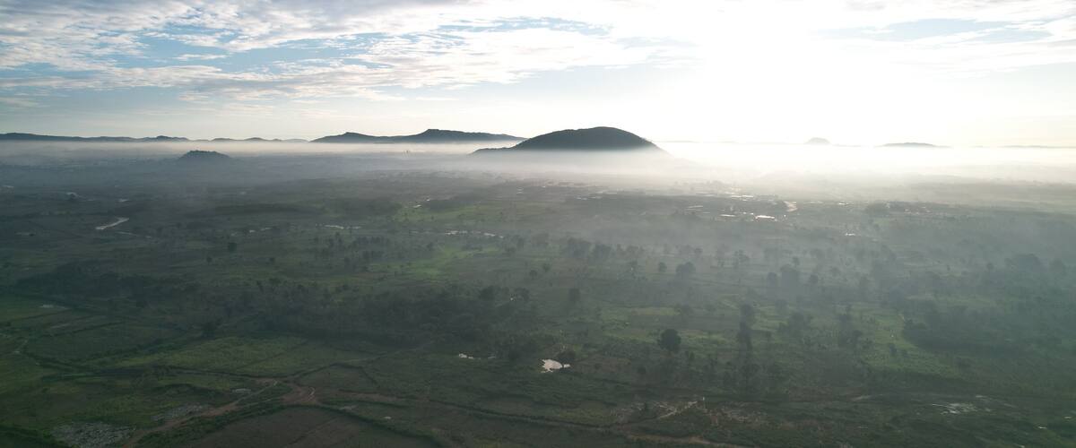 A misty landscape with rolling hills and scattered trees.
