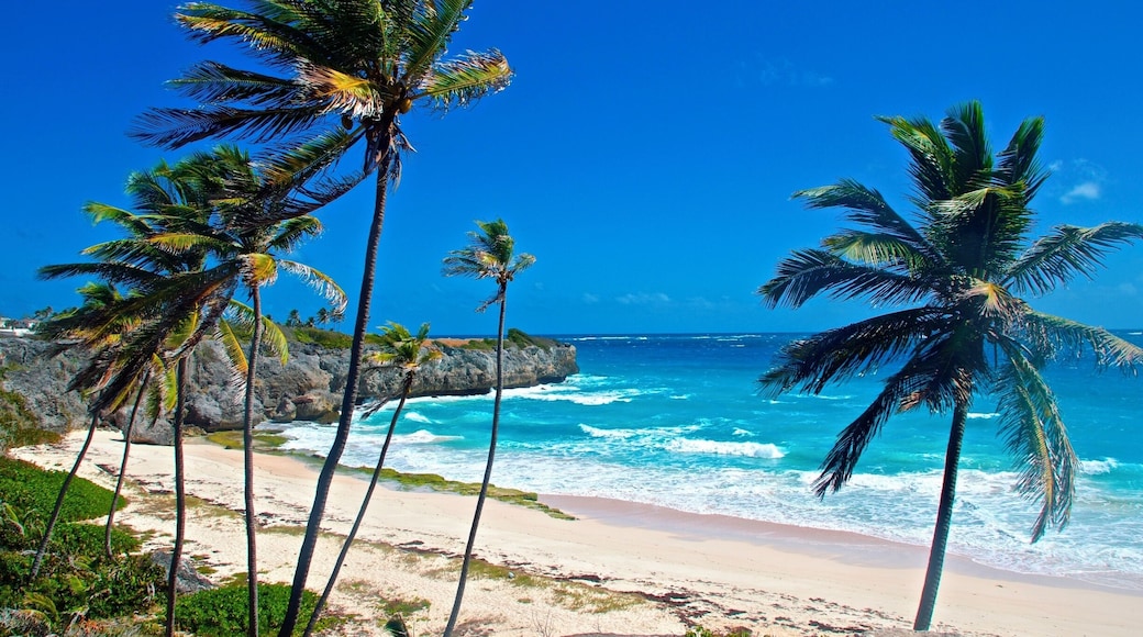 A little off the beaten path but a beautiful spot, worth the drive. If you are a strong swimmer then venture into the waves. No facilities on the beach but you may find a local renting beach chairs and selling a cold one in the busy season (Dec-April)