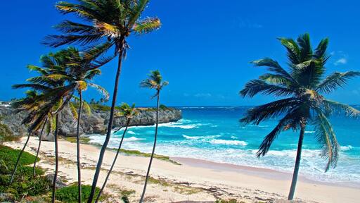 A little off the beaten path but a beautiful spot, worth the drive. If you are a strong swimmer then venture into the waves. No facilities on the beach but you may find a local renting beach chairs and selling a cold one in the busy season (Dec-April)