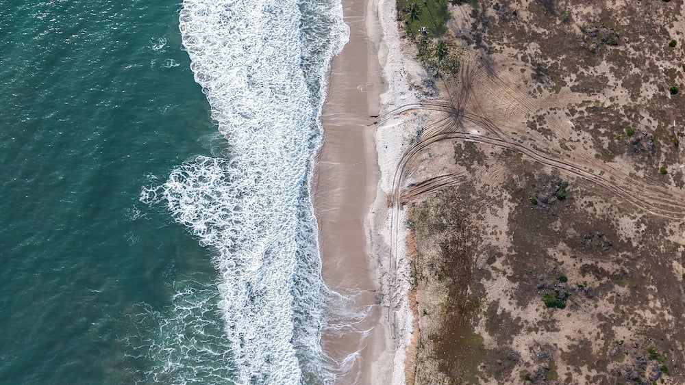 An aerial view of a beach with waves crashing onto the shore, a sandy beach, and sparse vegetation.