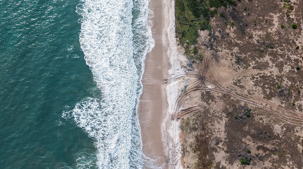 Aerial view of turquoise waves crashing onto the sandy shore contrasting with the earthy tones of the adjacent landscape, Lekki, Lagos, Nigeria.